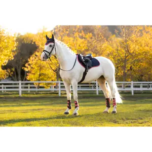 Jumping Saddle Pad LeMieux Suede Close Contact Square image-3