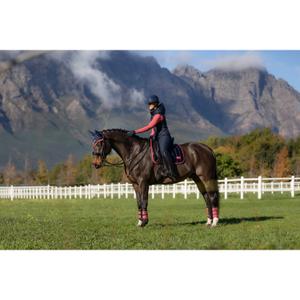 Dressage saddle pad for horses LeMieux Loire Classic Square image-2