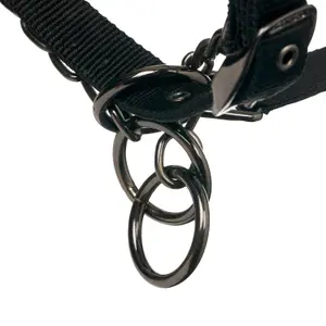 Cabestro para caballos LeMieux Prosafe image-2