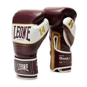 Leather boxing gloves Leone Shock image-0