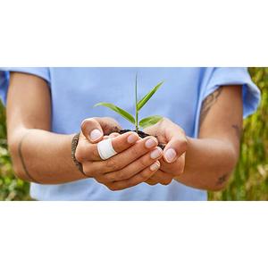 Cerotto Leukoplast Eco (x5)