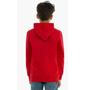 Baby boy hoodie Levi's Batwing Screeenprint image-2