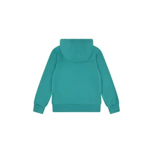Child hoodie Levi's Batwing image-1