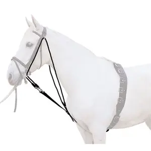 Gogue for horse Lexhis image-0