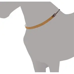 Collier για άλογο αγγλικό ελαστικό Lexhis image-0
