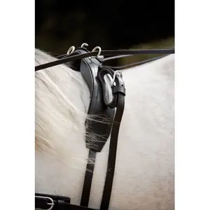 Pferdegeschirr Lexhis Kiel image-1