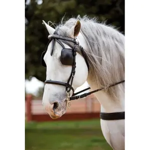 Pferdegeschirr Lexhis Kiel image-2