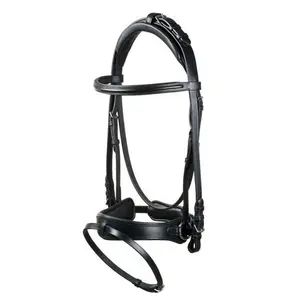 Bridons paardrijden voor Engelse paard Lexhis