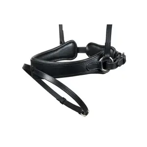 Bridons paardrijden voor Engelse paard Lexhis image-1