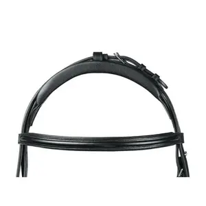 Bridons paardrijden voor Engelse paard Lexhis image-2