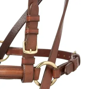 Bridon équitation Lexhis Hontanar image-1