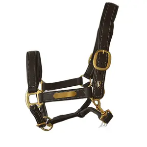 Leather halter for horses Lexhis image-0