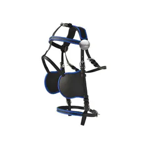 Harnisch für Pferdegeschirr Nylon PVC Lexhis Hanover
