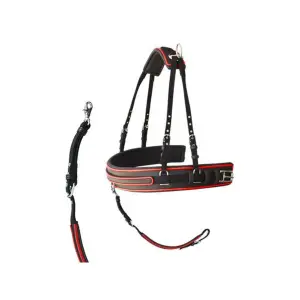 Harnisch für Pferdegeschirr Nylon PVC Lexhis Hanover image-1