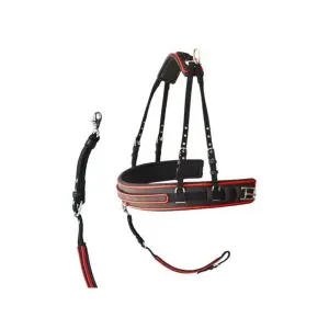 Harnisch für Pferdegeschirr Nylon PVC Lexhis Hanover image-1