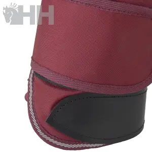 Botas de transporte para caballos Lexhis image-1