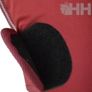 Botas de transporte para caballos Lexhis image-2