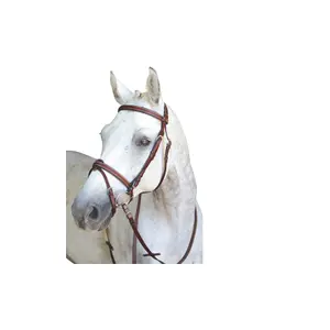 Brighe da equitazione chicago combinate Lexington image-0