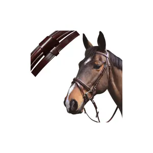 Bridas de equitación combinadas Austin Lexington image-1