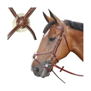 Bridons équitation denver croisé Lexington image-0