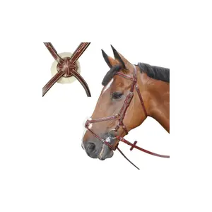 121143-marron-zaumzeug-reiten-denver-kreuz-lexington-braun