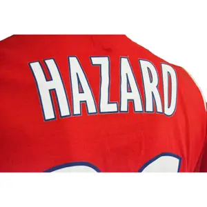 Home Jersey LOSC 2010/2011 Hazard image-1