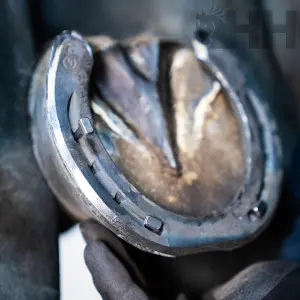 Outils de maréchalerie clou Liberty Hybrid Secure HT (x250) image-3