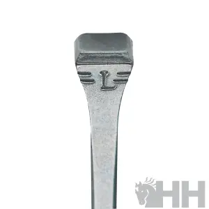 Outils de maréchalerie clou Liberty E Slim (x500) image-1