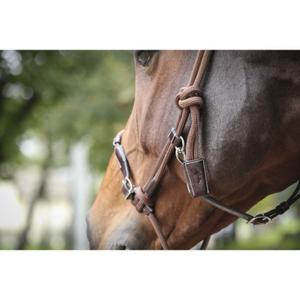 Kožená uzdečka pro koně Pénélope Éthologique image-1