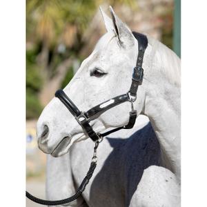 Horse halter with scabbard LeMieux image-2