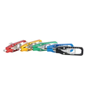 Chain tensioner Lightech BMW S 1000 Rr Abs (0e21) image-1