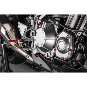 Motorcycle screw kit Lightech Kawasaki Z 1000 Sx Abs (Zx1000w) (x25) image-2