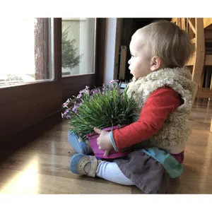 Baby sandals Liliputi Soft Iris image-3