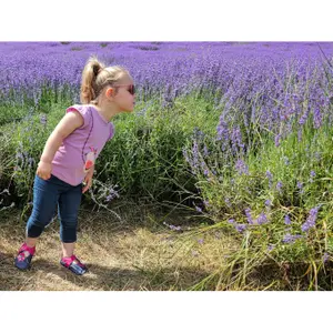 Baby sandals Liliputi Soft Paws Hawaii image-5