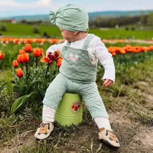 Soft baby boy slippers Liliputi Beige Doggies image-2