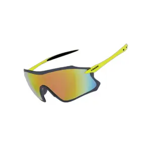 Lunettes de soleil Limar S9 Pc