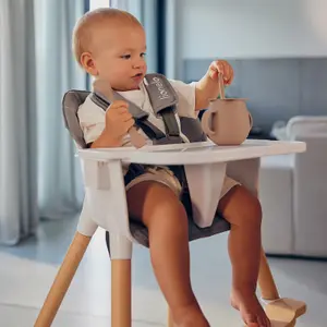 High chair for babies Lionelo Koen image-1