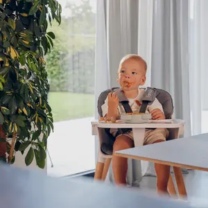 High chair for babies Lionelo Koen image-3