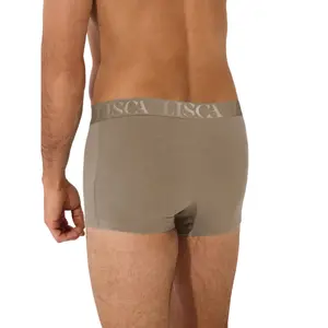 Boxer Lisca Odysseus image-1