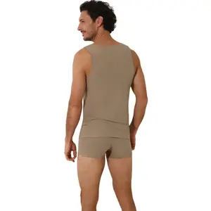 Boxer Lisca Odysseus image-3