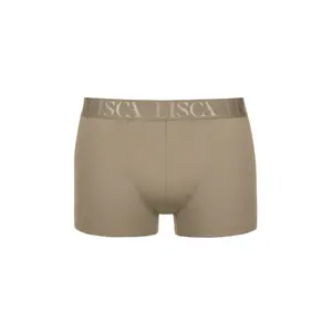 Boxer Lisca Odysseus image-5