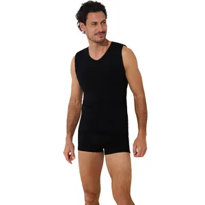 Boxer Lisca Odysseus image-2