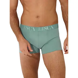 Boxer Lisca Odysseus image-0