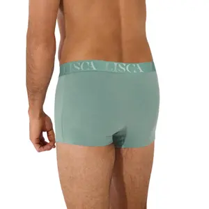 Boxer Lisca Odysseus image-1