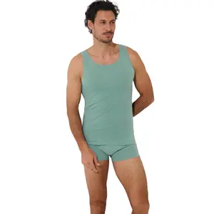 Boxer Lisca Odysseus image-2