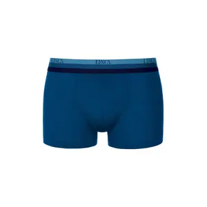Boxer Lisca Olympus (x3) image-1