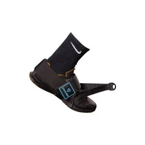 The ankle

 Livepro