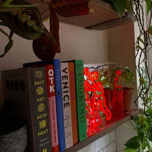 Neon illuminated sign Locomocean Bookcase Man image-1