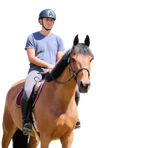 Halter for horse Jump'In Fancy image-1
