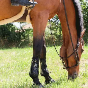 Halter for horse Jump'In Fancy image-2